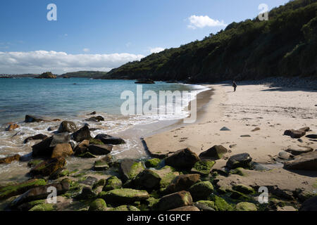 Mendicare un rfi beach, Locquirec, Finisterre, Bretagna, Francia, Europa Foto Stock