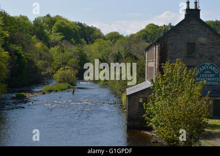 Il pescatore pesca in fiume Lennon, Ramelton, County Donegal, Wild Atlantic modo, Irlanda. Foto Stock