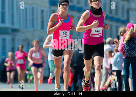 Aberystwyth Wales UK, domenica 15 maggio 2016 corsa per la vita di carità esecuzione in Aberystwyth Wales; In sole splendente, e indossando rosa, oltre 1.100 donne e ragazze di tutte le età e abilità (e una infarinatura di giovani ragazzi) , ha preso parte in 5k e 10k gare su Aberystwyth promenade. Il totale del denaro promesso nella sponsorizzazione alla gara di oggi supera £65.000, ma le cifre mostrano che solo un terzo delle somme promesse sono effettivamente consegnate per la Ricerca sul Cancro carità dopo questi fund raising eventi Photo credit: Keith Morris / Alamy Live news Foto Stock