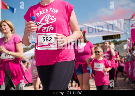 Aberystwyth Wales UK, domenica 15 maggio 2016 corsa per la vita di carità esecuzione in Aberystwyth Wales; In sole splendente, e indossando rosa, oltre 1.100 donne e ragazze di tutte le età e abilità (e una infarinatura di giovani ragazzi) , ha preso parte in 5k e 10k gare su Aberystwyth promenade. Il totale del denaro promesso nella sponsorizzazione alla gara di oggi supera £65.000, ma le cifre mostrano che solo un terzo delle somme promesse sono effettivamente consegnate per la Ricerca sul Cancro carità dopo questi fund raising eventi Photo credit: Keith Morris / Alamy Live news Foto Stock