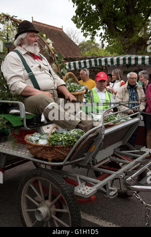 Alresford, Hampshire REGNO UNITO. 15 Maggio, 2016. Un cavallo e un carrello offre crescione fresco per l annuale Alresford Crescione Festival in questo Hampshire città mercato. Foto Stock