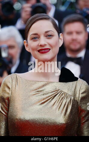 Cannes, Francia. 11 Maggio, 2016. CANNES, Francia - 15 Maggio: Marion Cotillard assiste il " Dalla terra alla luna (Mal de Pierres)' premiere durante la sessantanovesima annuale di Cannes Film Festival presso il Palais des Festivals il 15 maggio 2016 a Cannes, © Federico Injimbert/ZUMA filo/Alamy Live News Foto Stock