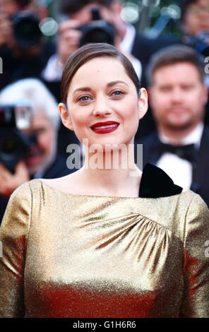 Cannes, Francia. 11 Maggio, 2016. CANNES, Francia - 15 Maggio: Marion Cotillard assiste il " Dalla terra alla luna (Mal de Pierres)' premiere durante la sessantanovesima annuale di Cannes Film Festival presso il Palais des Festivals il 15 maggio 2016 a Cannes, © Federico Injimbert/ZUMA filo/Alamy Live News Foto Stock