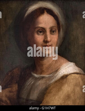 Andrea del Sarto (1486-1530), il Ritratto di una giovane donna (Lucrezia del Fede), n.d. Foto Stock