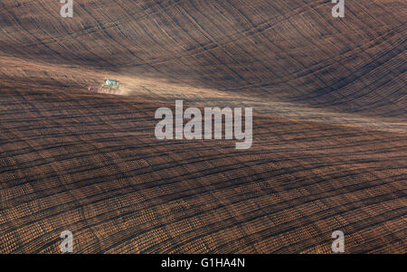 Il paesaggio agricolo con il trattore aratura di striped brown field in Moravia del sud al tramonto, splendida vista sulle dolci colline Foto Stock