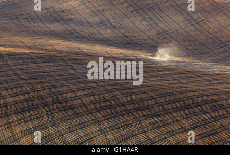 Il paesaggio agricolo con il trattore aratura di striped brown field in Moravia del sud al tramonto, splendida vista sulle dolci colline Foto Stock