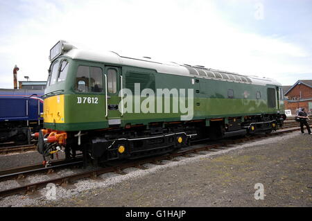 Locomotive diesel e a vapore in un cortile Foto Stock