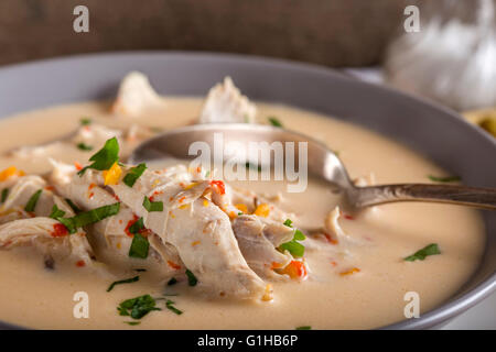 Close up Romanian di zuppa di pollo denominato Ciorba Radauteana sulla piastra con cucchiaino Foto Stock