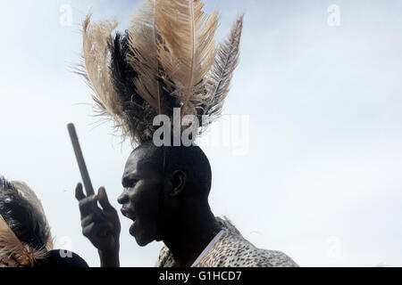 Ballerini tradizionali di intrattenere ospiti a Kampala in Uganda. La musica e la danza sono molto elementi cruciali della società africana. Foto Stock