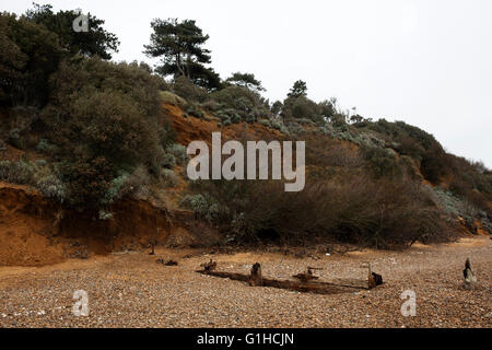 Effetti di erosione costiera Bawdsey Ferry Suffolk REGNO UNITO Foto Stock