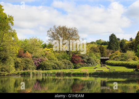 La Newstead Abbey Giardino Lago e i giardini dietro. Foto Stock