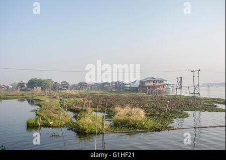 Floating orti del Lago Inle nel morbido. La luce del mattino Foto Stock