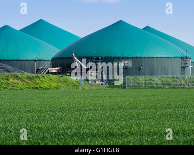 Impianto di produzione di biogas pianta di potere, vicino a Celle, Bassa Sassonia, Germania Foto Stock