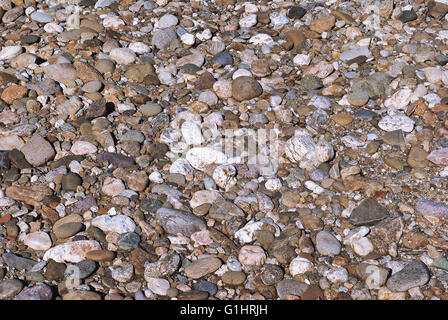 Letto asciutto del fiume rocce Foto Stock