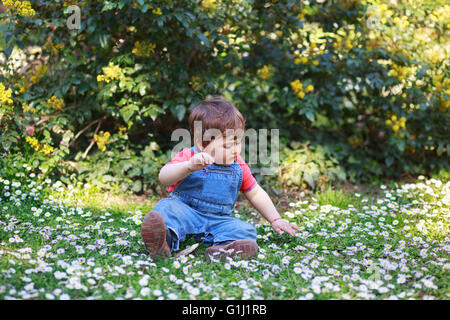 Ragazzo seduto su erba e fiori a margherita Foto Stock