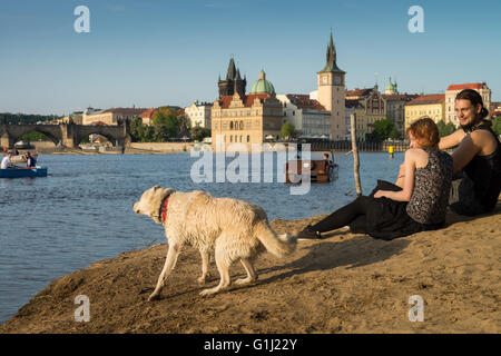 Per coloro che godono di estate con il cane strelecky island beach - Città vecchia in background, Praga, Repubblica Ceca Foto Stock