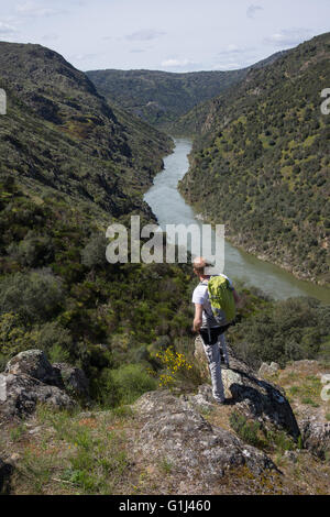 Un trekker gode della vista da un punto di vista oltre il fiume Duero in Arribes del parco nazionale. Foto Stock