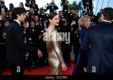 Cannes, Francia. 15 Maggio, 2016. L'attrice Marion Cotillard assiste la premiere del ''dalla terra e la Luna (Mal de Pierres)' durante la sessantanovesima annuale di Cannes Film Festival presso il Palais des Festivals a Cannes, Francia, il 15 maggio 2016. Foto: Hubert Boesl Credito: dpa picture alliance/Alamy Live News Foto Stock