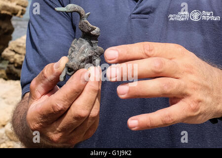 Cesarea, Israele. 16 Maggio, 2016. Un sottomarino di recuperare indagine condotta nelle ultime settimane presso l'antico porto di Cesarea da subacquei dalle Autorità di Antichità Israele ha portato alla esposizione di una "grande e spettacolare e bellissima e antica marina" del carico di una nave mercantile che affondò durante il periodo tardo romano. Credito: Nir Alon/Alamy Live News Foto Stock