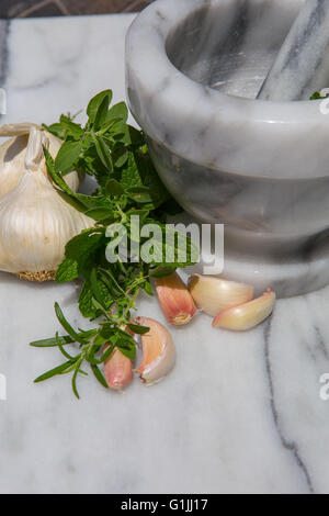 Il marmo mortaio e pestello su una scheda in marmo con aglio fresco ed erbe in illuminazione naturale Foto Stock