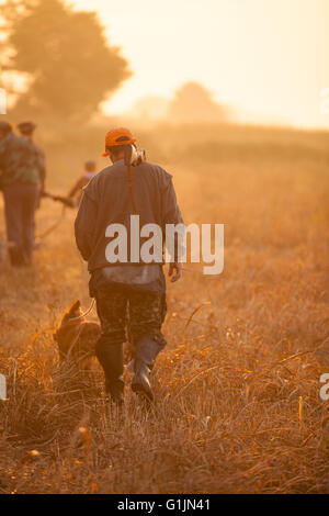 Cacciatore e il suo cane camminando sul campo durante la caccia quaglia Foto Stock