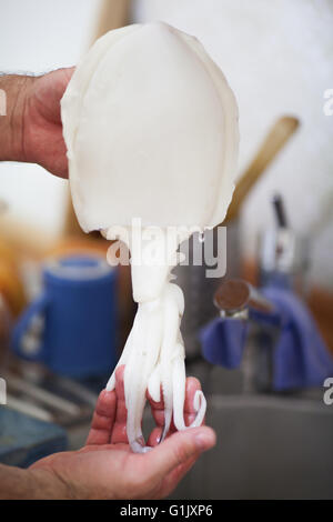 Persona pulizia di un materie polipetti calamari o Foto Stock