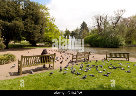 Una donna seduta su una panchina nel parco con piccioni, lago e fontana, Jephson Gardens, Royal Leamington Spa, Warwickshire, Regno Unito Foto Stock