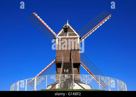 Il Mulino Koelewei (1765) a Bruges, Belgio Foto Stock