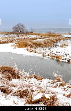 Paesaggio invernale Foto Stock