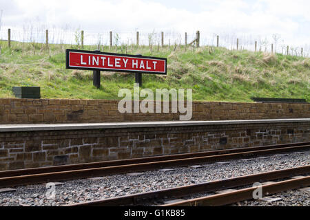 Lintley Halt è il capolinea del nord del Sud Tynedale, ferroviaria a scartamento ridotto il patrimonio e la linea turistica Foto Stock