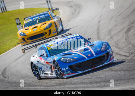 Jamie Orton prende angolo Murrays durante il 2015 Michelin Ginetta GT4 Supercup gara a Snetterton, Norfolk, Regno Unito. Foto Stock