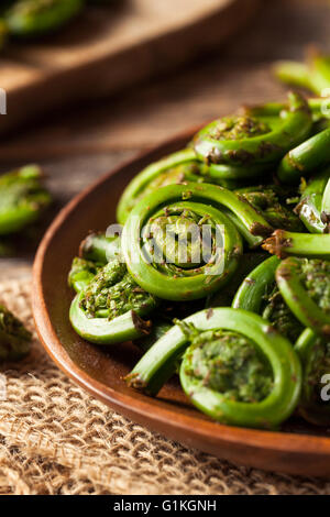 Materie Verde biologico Fiddlehead Ferns pronti per la cottura Foto Stock