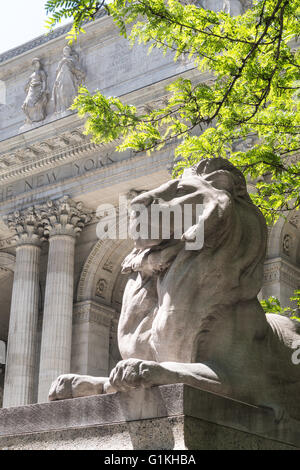 Statua di Lion, New York Public Library, ramo principale, NYC Foto Stock