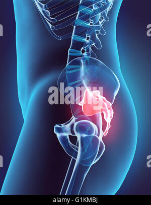 3D illustrazione della regione sacrale - parte di scheletro umano. Foto Stock