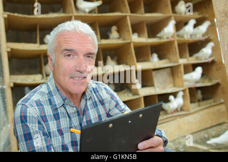 custode di piccione Foto Stock