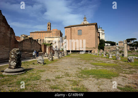 Italia, Roma, foro Romano, Basilica Aemilia Foto Stock