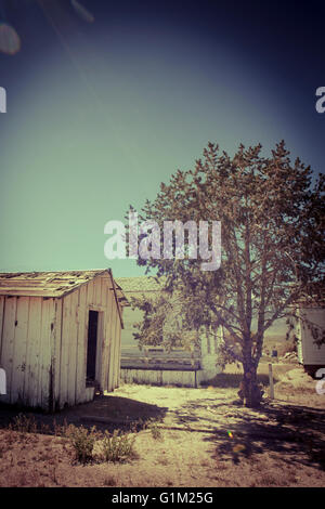 Vecchie baracche abbandonate su un high desert homestead al sole con sunflares e vignettatura. Foto Stock