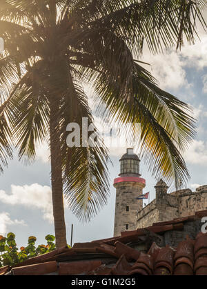 Palm tree nei pressi di El Morro Fortezza, Havana, Cuba Foto Stock