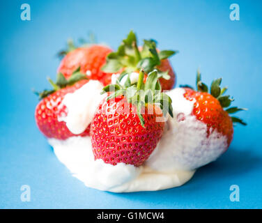 Fragole e panna su un luminoso blu sfondo colorato Foto Stock