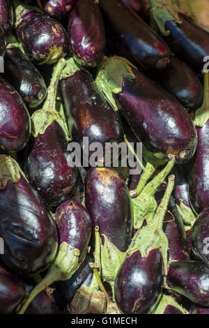 Melanzane al mercato Foto Stock