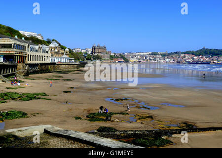 SCARBOROUGH, nello Yorkshire, Regno Unito. Maggio 09, 2016. Spiaggia La Spa e la città con la bassa marea a Scarborough in Yorkshire Regno Unito. Foto Stock