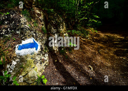 Escursionismo freccia blu Vernice per marcatura su una roccia sul sentiero nel bosco Foto Stock