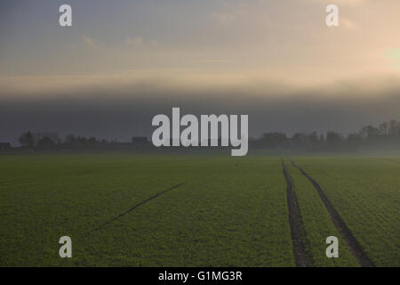 Nuvole scure e la nebbia si avvicinano sull'azzurro del cielo sopra la città di Grubenhagen vicino a Greifswald, Meclenburgo-Pomerania Occidentale, Germania. Foto Stock