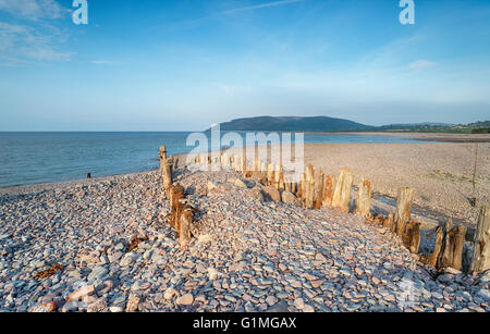 Weathered legno pennelli di mare sulla spiaggia di ciottoli a Porlock Weir sulla costa di Somerset Foto Stock