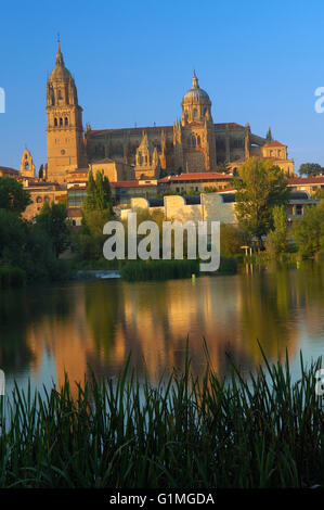 Cattedrale e il fiume Tormes, Salamanca, Castiglia-Leon, Spagna. Foto Stock