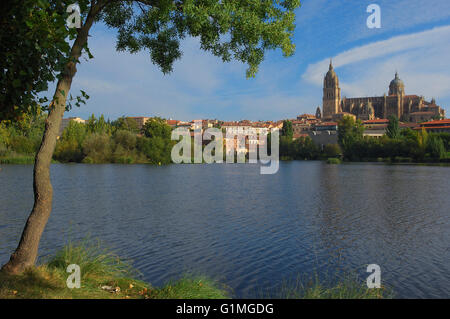 Cattedrale e il fiume Tormes, Salamanca, Castiglia-Leon, Spagna. Foto Stock