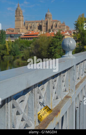 Cattedrale e il fiume Tormes, Salamanca, Castiglia-Leon, Spagna. Foto Stock