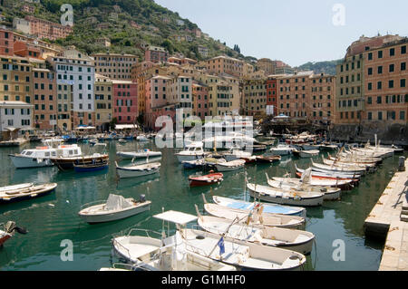 Camogli piccolo villaggio di pescatori località turistica sul lato ovest della penisola di Portofino, Golfo Paradiso Riviera di Foto Stock