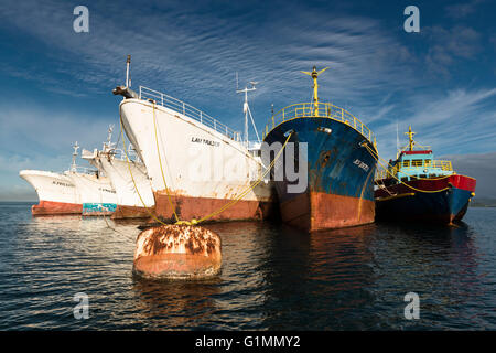 Barche di varie età legata a una formazione di ruggine boa. La Suva Harbour, Isole Figi Foto Stock