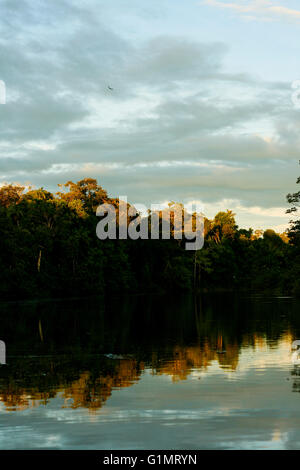 Rio Yavari. Fiume del Amazon, Perù Foto Stock